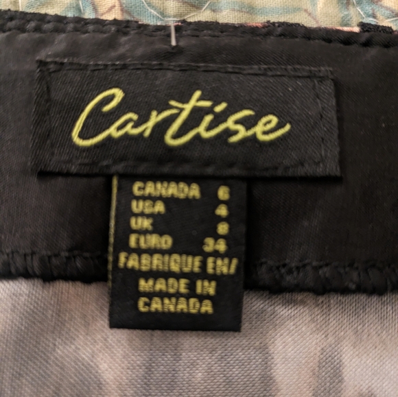 Cartise Skirt, size 4 - Picture 4 of 7